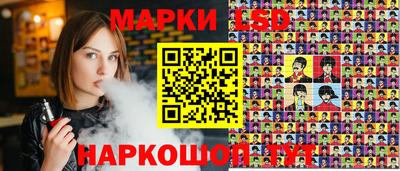 дмт Аргун