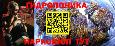 дмт Аргун