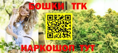 дмт Аргун