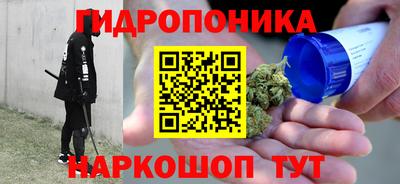 дмт Аргун