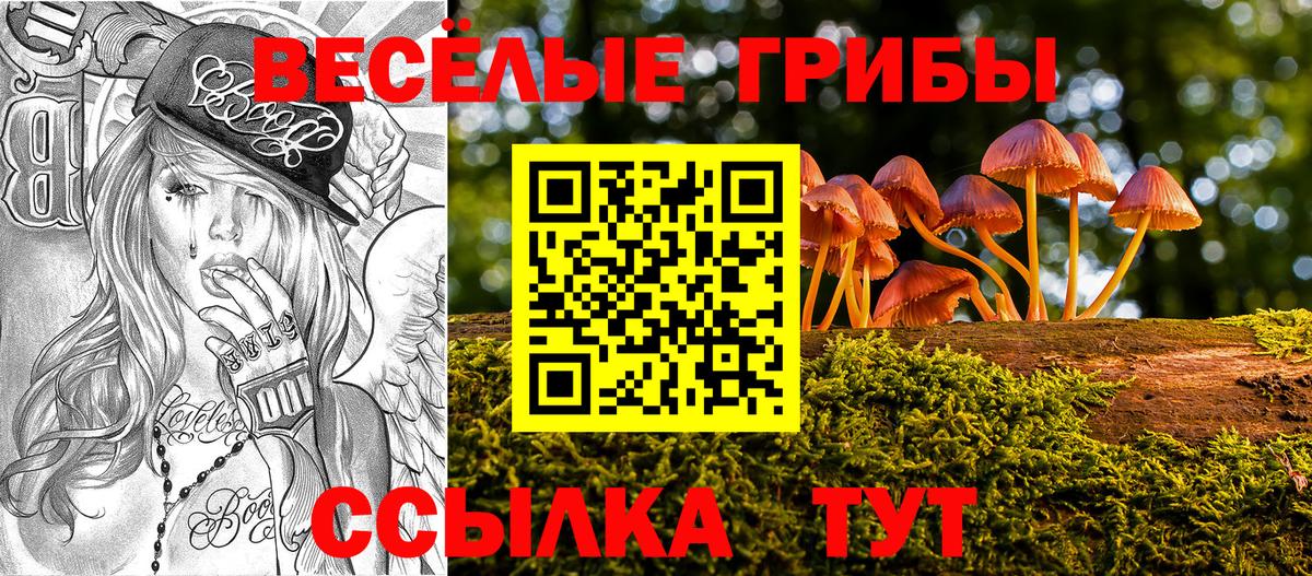 Бердск  Галлюциногенные грибы ЛСД  Вход с VPN 
